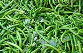 Green Chilli (Hari Mirch)
